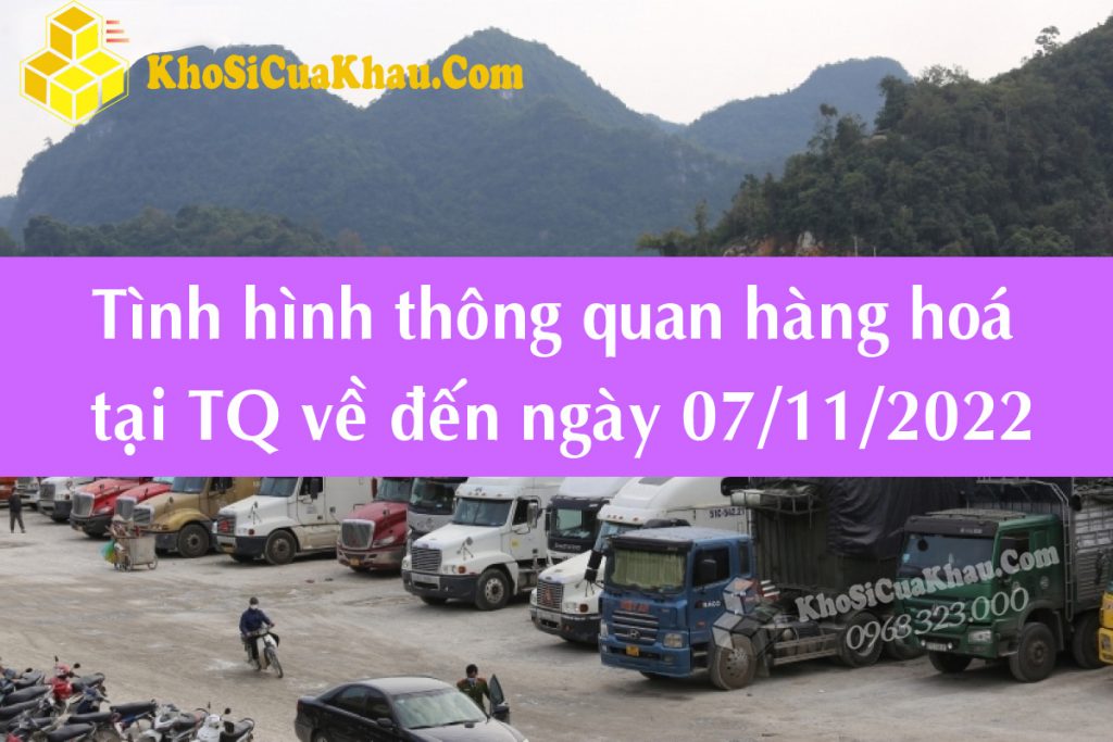 Tình Hình Thông Quan Hàng Hoá đến Tháng 11-2022